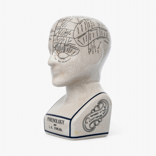 Phrenology head n fowler - head, 9"