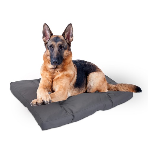 Cuscino grigio cani - , lettino