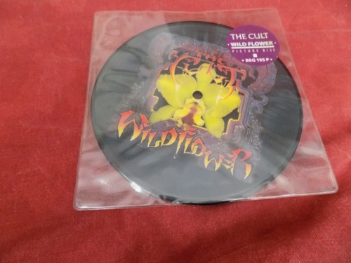 The cult wildflower - cult,