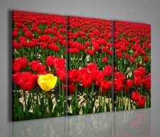 QUADRI MODERNI SINGOLAR TULIPS QUADRO MODERNO FIORI ARREDAMENTO ARREDARE CASA