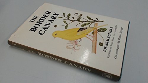 Border canary bracegirdle - canary,