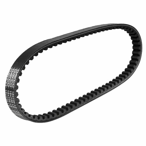 Rms dayco cinghia - rms,