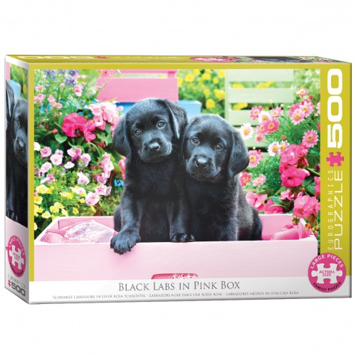 Puzzle labrador neri in - puzzle,
