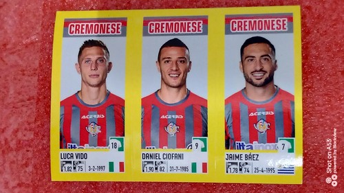 Figurine calciatori panini - calciatori,