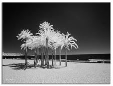 Fotocamera mirrorless