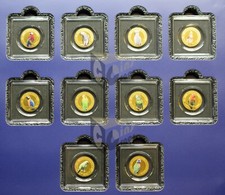 World parrots set oro 10 - of, in