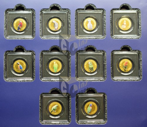 World parrots set oro - oro, 10