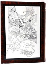 Disegno Inchiostro Robert