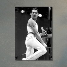 Poster Freddie Mercury stampa
