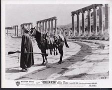 Rafik Shammas DESERTO PROIBITO