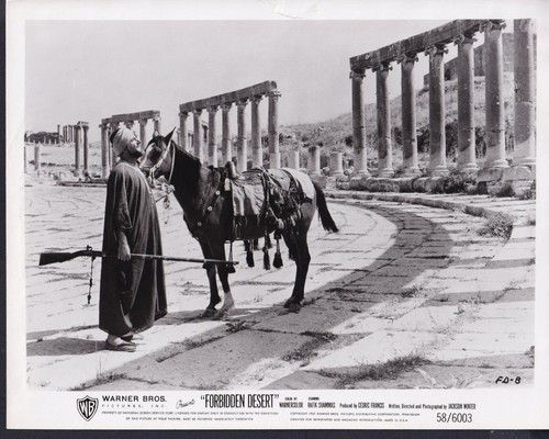 Rafik shammas deserto proibito - rafik,
