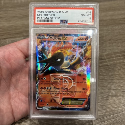 Moltres psa pokemon - moltres,