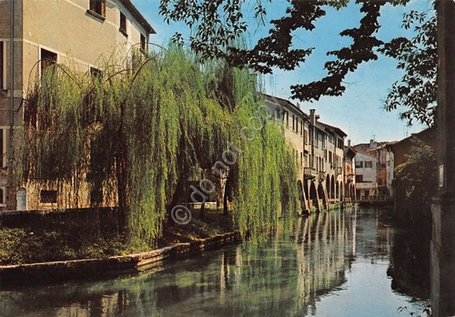Cartolina treviso buranelli - cartolina,