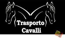 Adesivo AUTO TRASPORTO CAVALLI