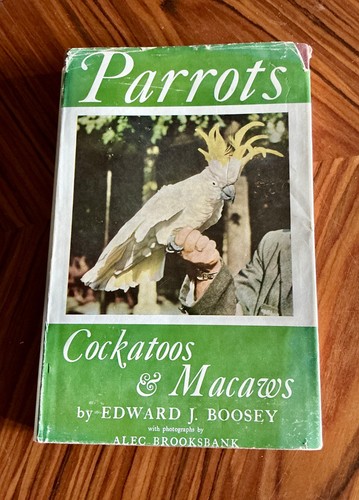 Parrots cockatoos macaws - parrots,