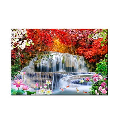 Foresta cascate natura - cascate,