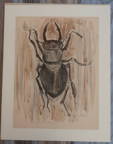 Arte goliardo padova - arte,