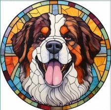 CANE DA MONTAGNA BERNESE (1)