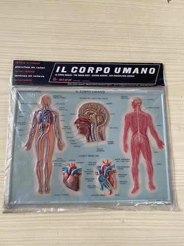 Plastico scientifico rico - plastico,