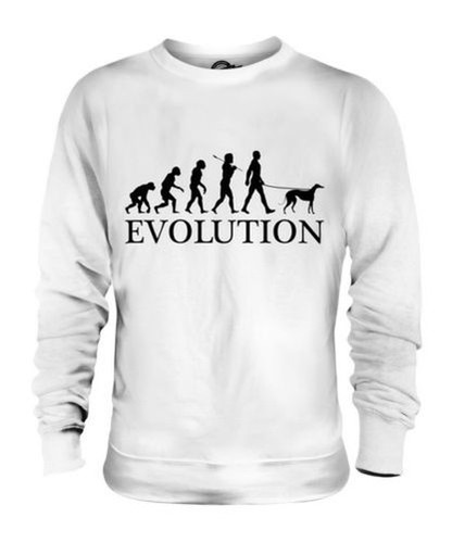 Levriero evolution uomo - levriero,