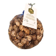 Lumache da Gastronomia
