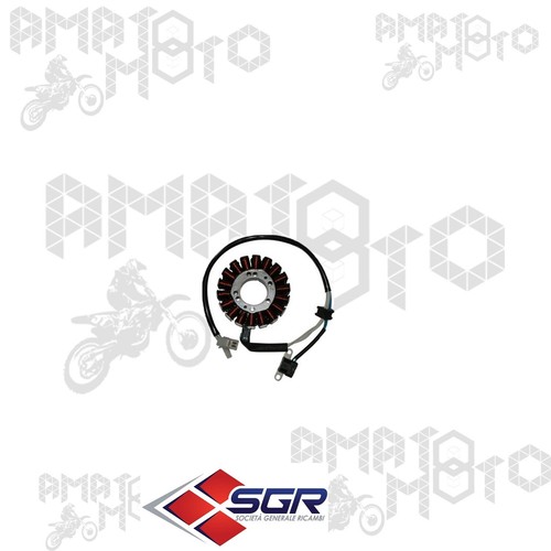 Statore magnete volano sgr - statore,
