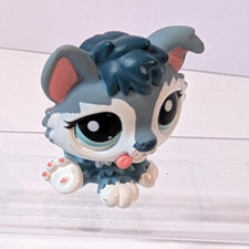 Siberian Husky Dog Mini Pet