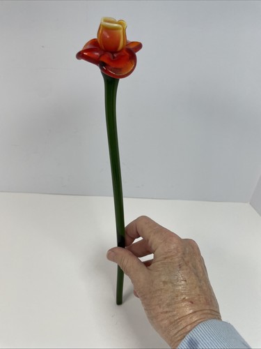 Bellissimo vetro artistico