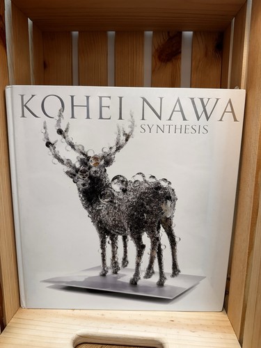 Kohei nawa synthesis - kohei,