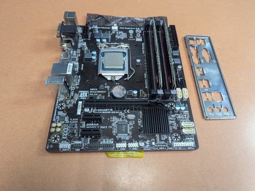 Scheda madre gigabyte - scheda,