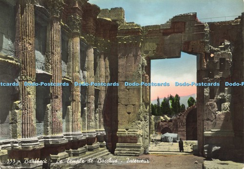 D196953 baalbeck temple de - le,
