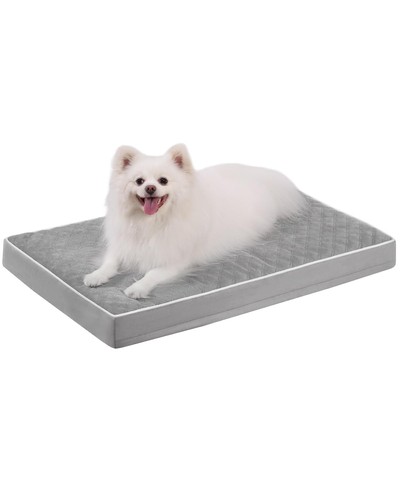 Cuccia cane interno medio - cane,