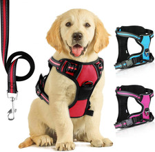 Pettorina Regolabile