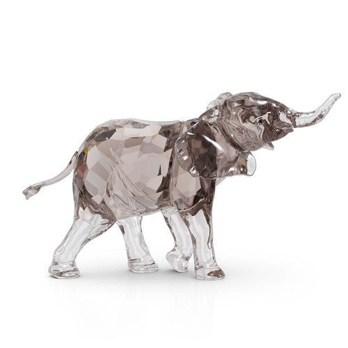 Swarovski elegance africa - elegance,