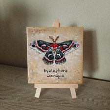 Quadro Originale Con Farfalla