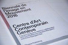 Catalogo Biennale de l'Image