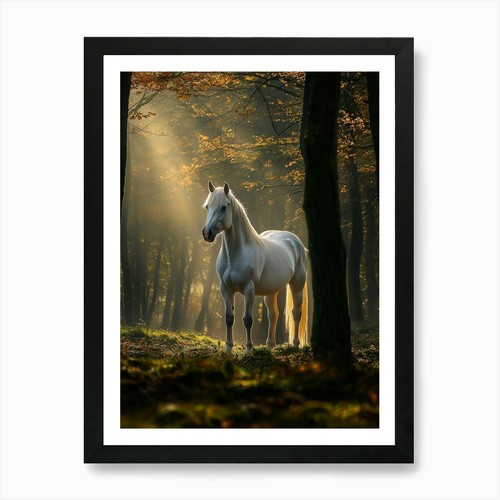 Cavallo bianco nel - , bosco