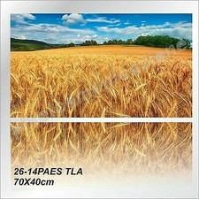QUADRO MODERNO TELA 70X40