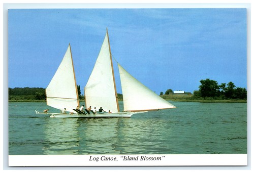 Cartolina log canoa - cartolina,