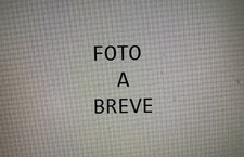 NISSAN NAVARA 2001 KING CAB PIC-UP 2500 4X4 INTERNO PORTE PORTIERE COPRI STOFFA