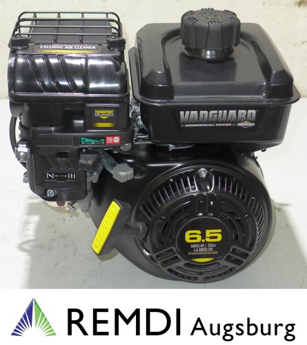 Motore briggs stratton circa - &,