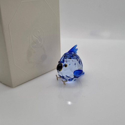 Swarovski tutto ciò cui - tutto, di