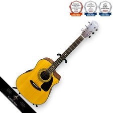 Chitarra elettrica acustica