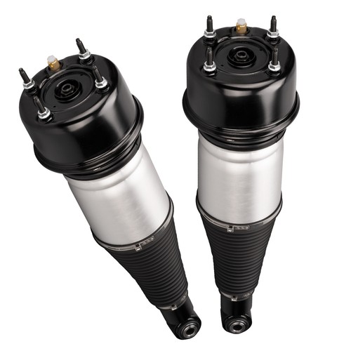 Puntone ammortizzatore - 2x,