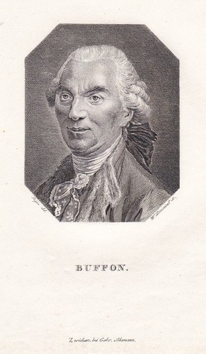 Comte buffon naturalista - buffon,