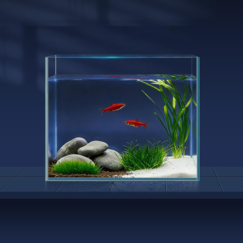 Kit acquario l con - kit,