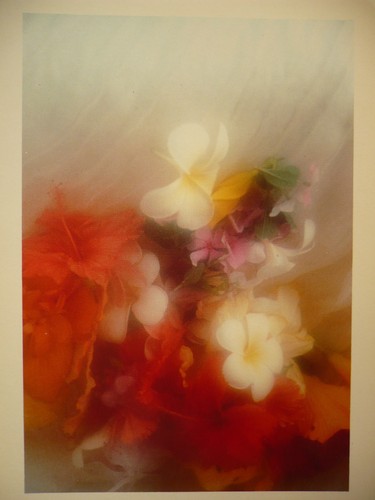 Carte postale david - postale,