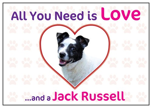 Funny love and - jack, russel