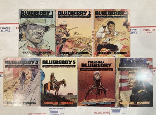 Blueberry 4 5 - 2,