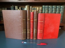 Set da 5 vol. rilegature percaline - Pittura e storia dell'arte, molto fresco